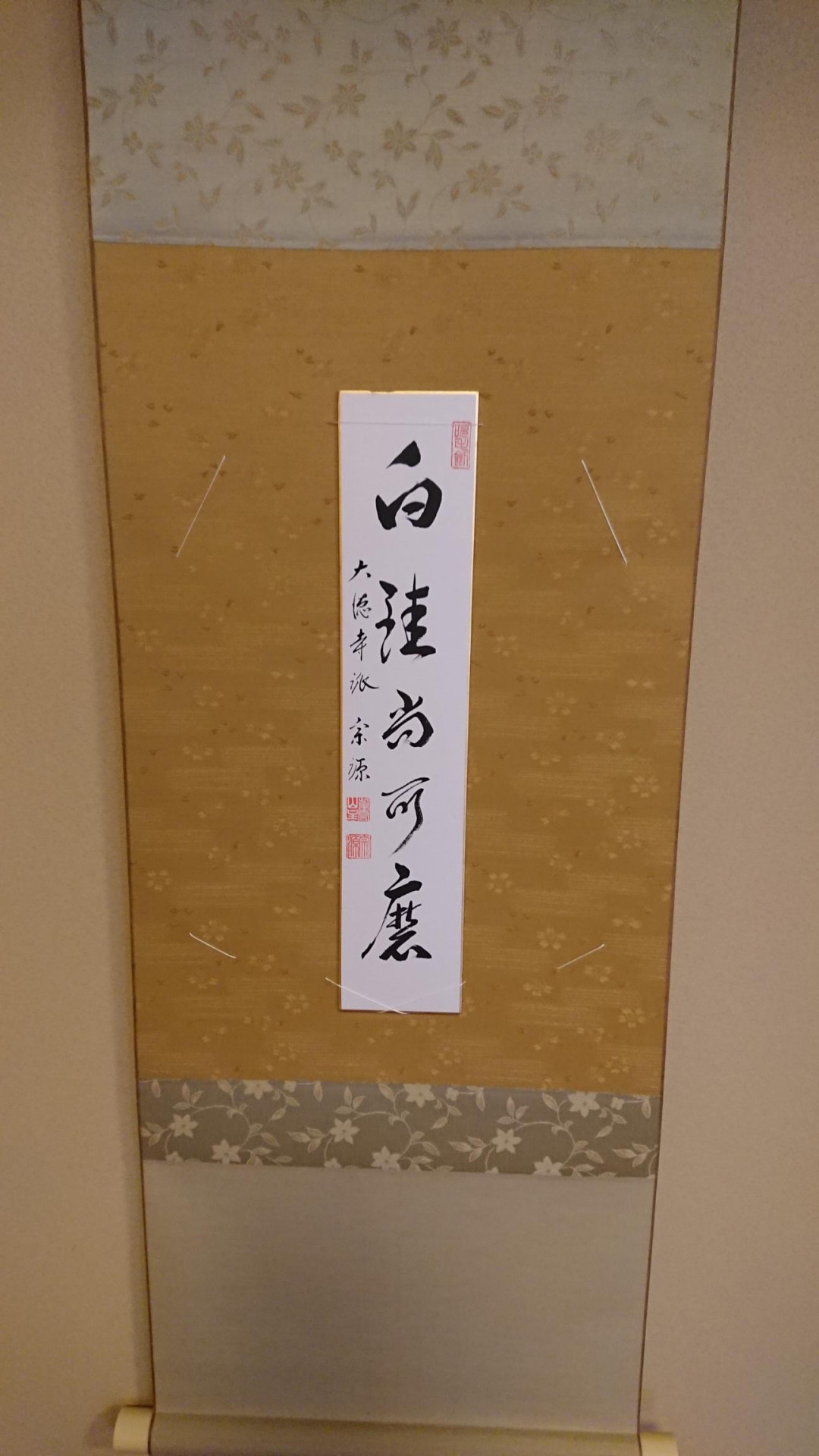 shared image (3)